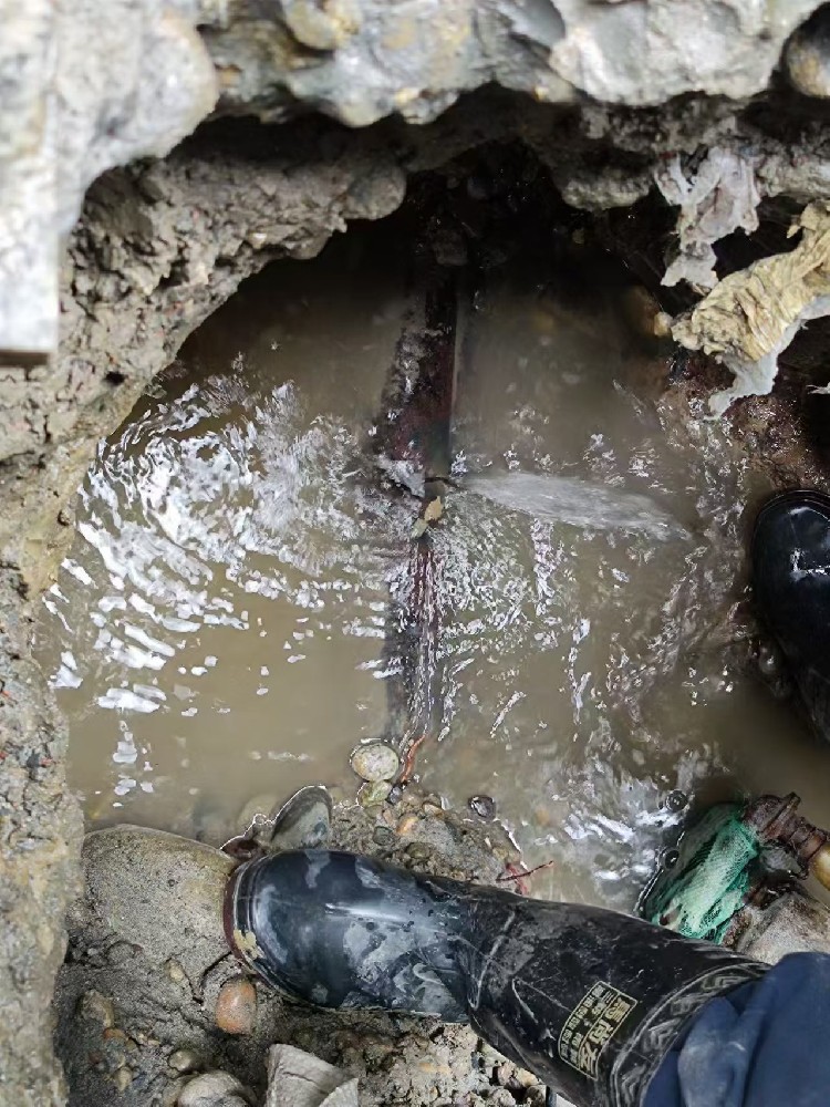 黄埔地区绿化水管漏水检测维修